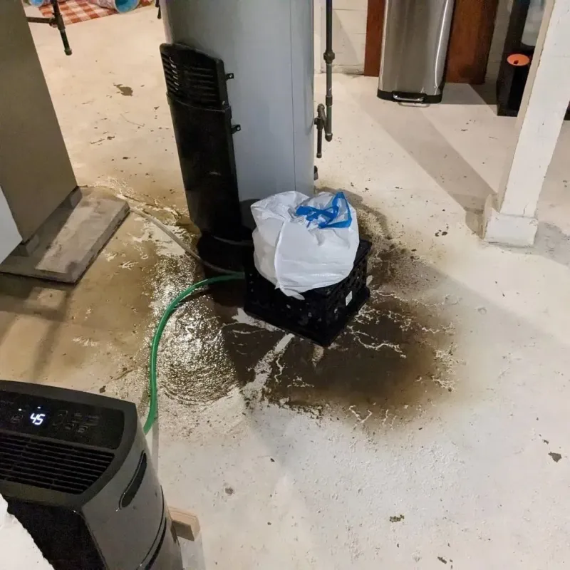 Sewage Backup Cleanup Service in Carter County, MT